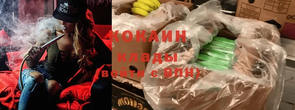 спиды Аркадак