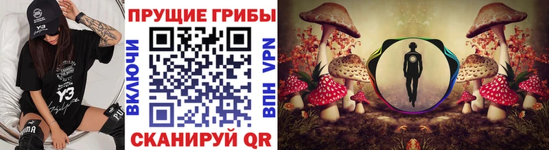 Псилоцибиновые грибы Cubensis  гидра как зайти  Боровичи 